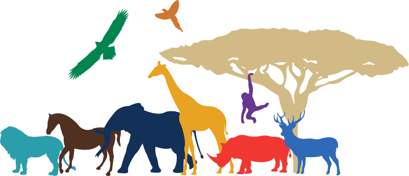 Fun day at the Safari