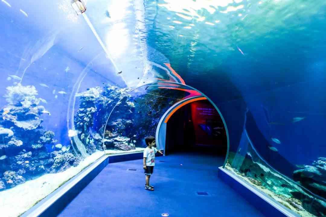 Family trip to Eilat